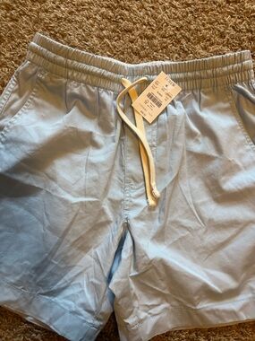 J. Crew Light Blue Drawstring Cotton Shorts